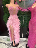 Pink lil feathers dress